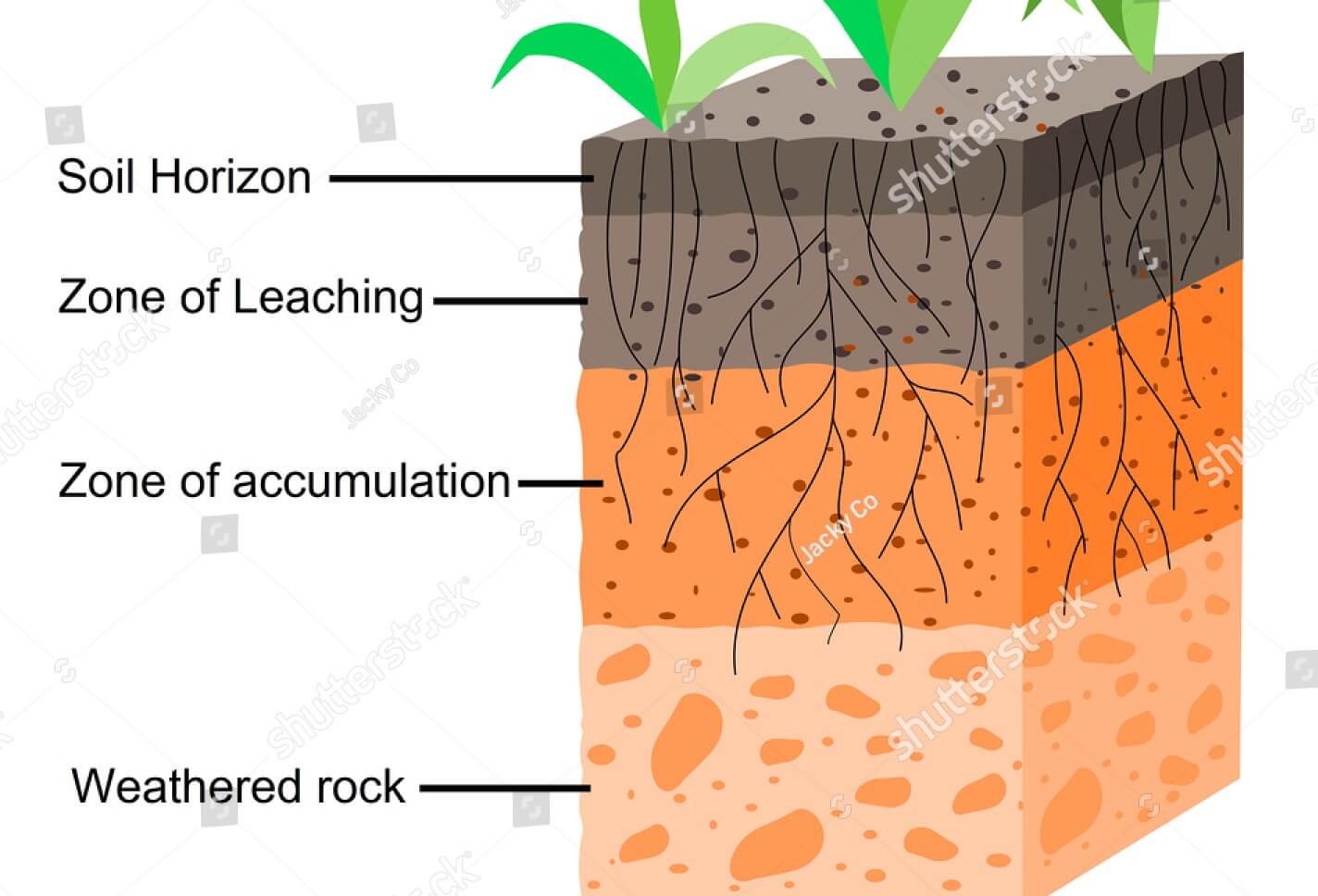 Explain How Soil Is Formed Class 7th