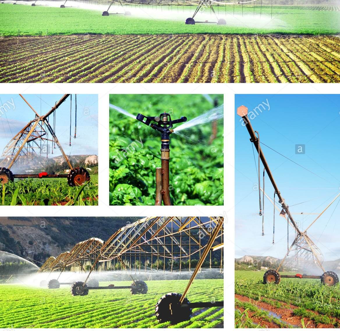 Types Of Irrigation Irrigation Types Different Systems Agriculture ...