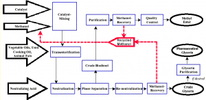 Biodiesel Production - its 6 Steps, Materials and Advantages