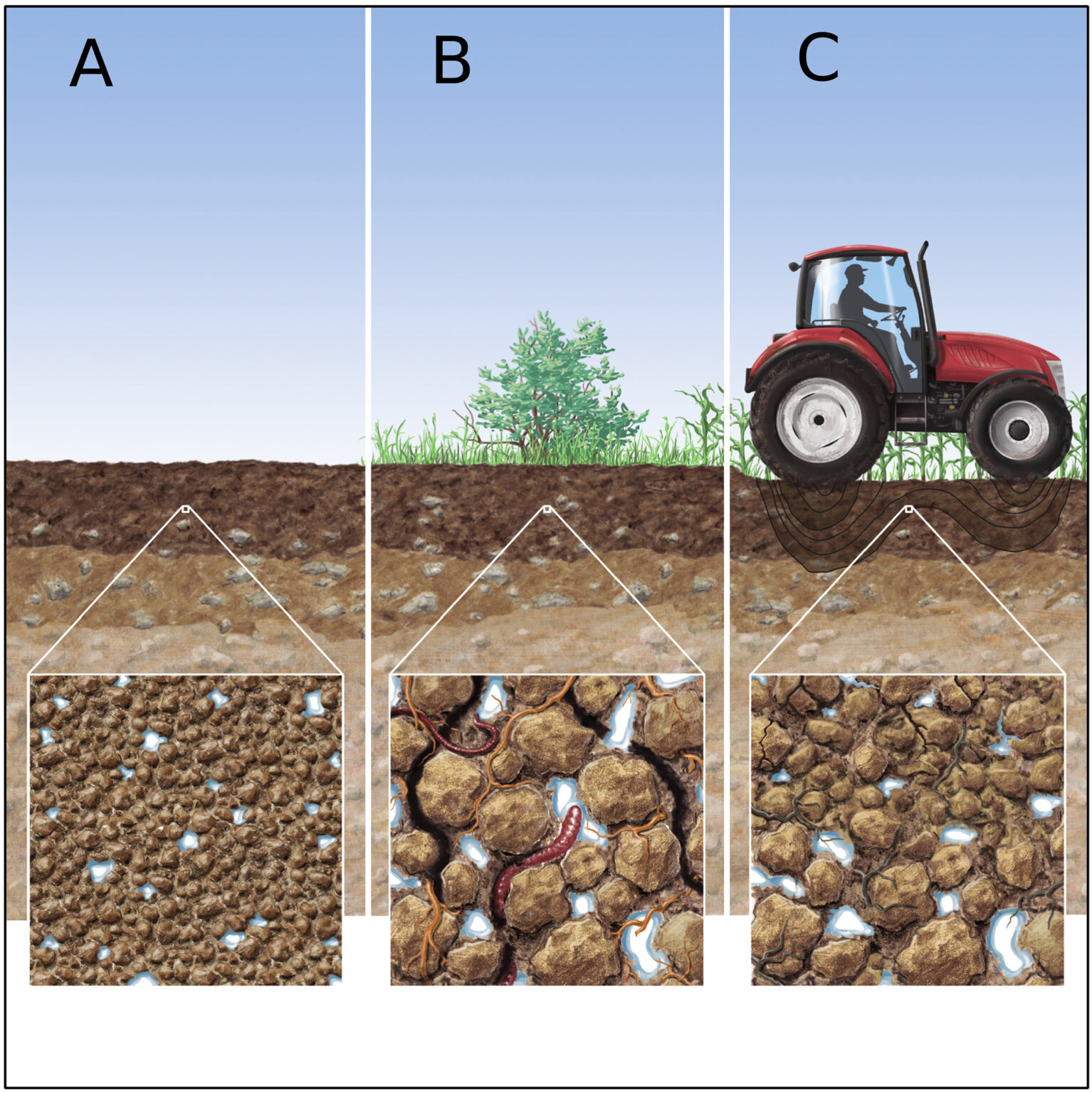 soil-investigation-with-3-types